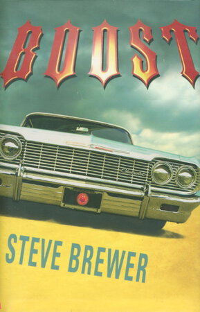 BOOST. by Brewer, Steve.