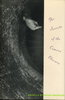 Another image of THE SECRETS OF THE CAMERA OBSCURA by Knowles, David