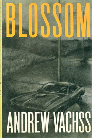 BLOSSOM. by Vachss, Andrew.