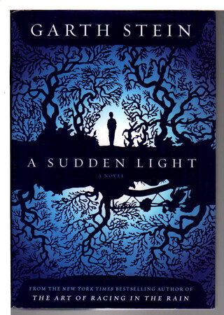 A SUDDEN LIGHT. by Stein, Garth.