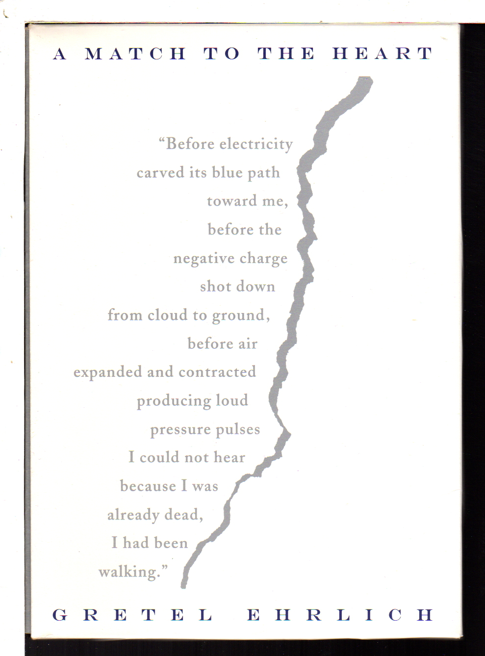 Lust and wonder zach heckendorf lyrics Lust and wonder zach heckendorf lyrics