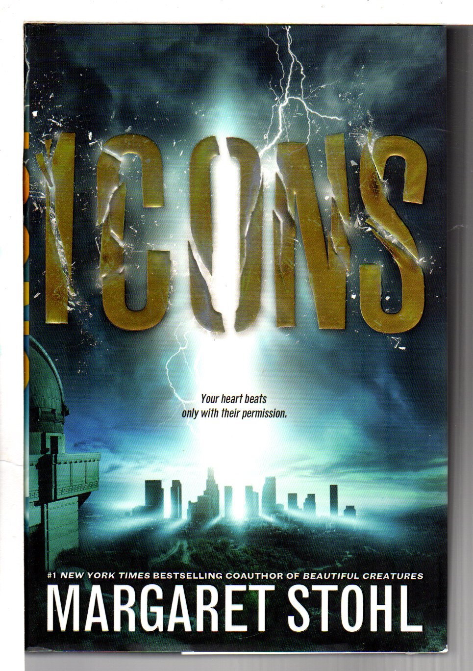 The Icons By Stohl Margaret Bookfever Com