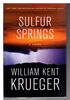 Another image of SULFUR SPRINGS. by Krueger, William Kent.