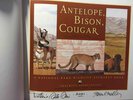Another image of ANTELOPE, BISON, COUGAR: A National Park Wildlife Alphabet Book. by Medley, Steven P.; Daniel San Souci, illustrator.