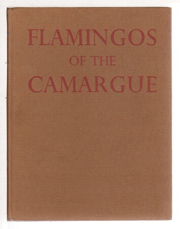 FLAMINGOS OF THE CAMARGUE. by Gallet, Etienne; Preface by Paul Geroudet.