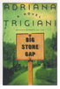 Another image of BIG STONE GAP. by Trigiani, Adriana.